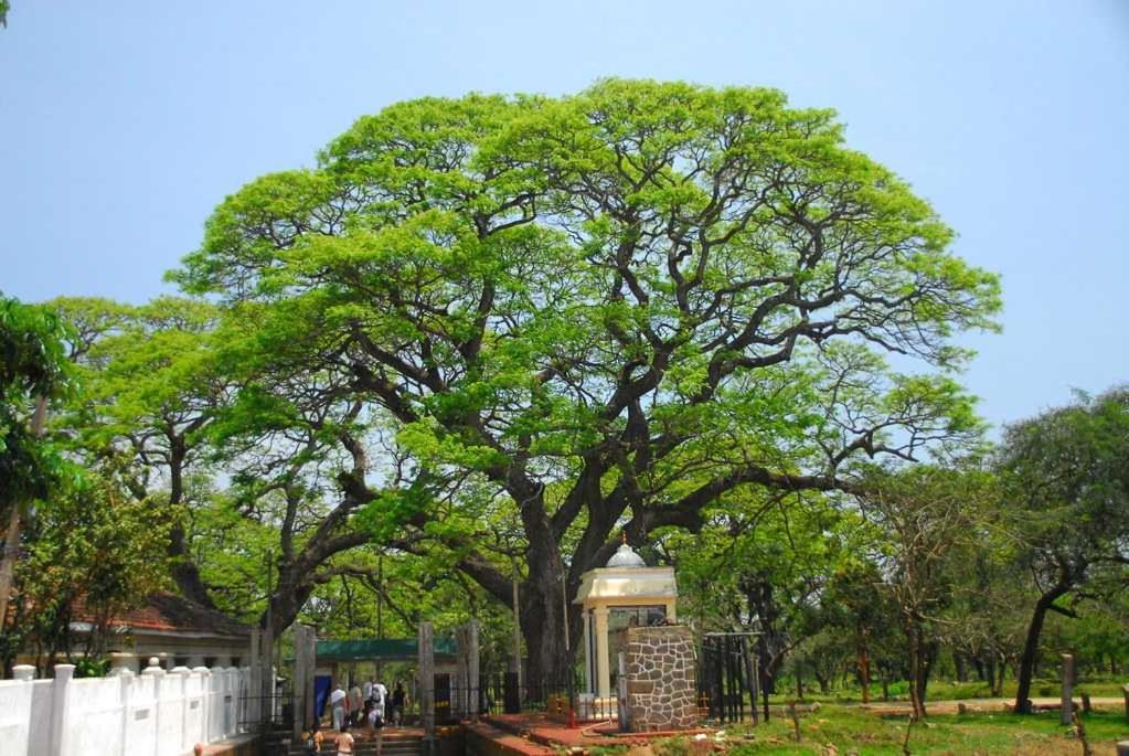 Lucky Holiday Home Anuradhapura Exterior foto